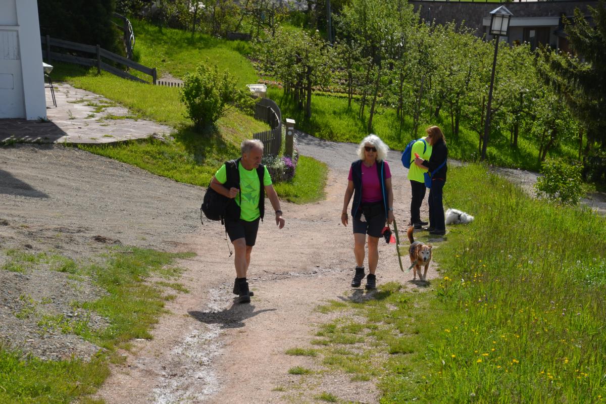 Zunerhof 31.05.2019